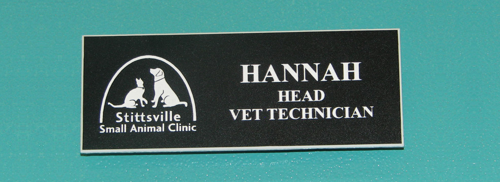 eng_vetTech